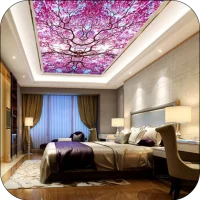 3D Custom House Ceiling Design